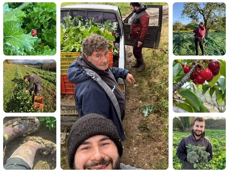 I campi dell'azienda agricola Il Mio Orto a Casa Tua
