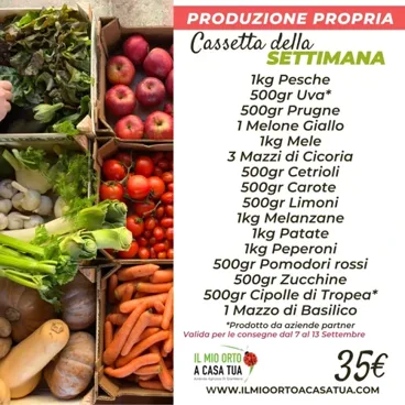 Cassetta Grande Della Settimana