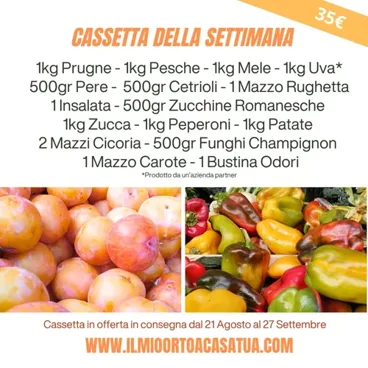 Cassetta Grande Della Settimana