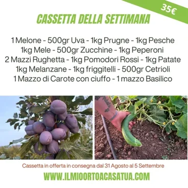 Cassetta Grande Della Settimana