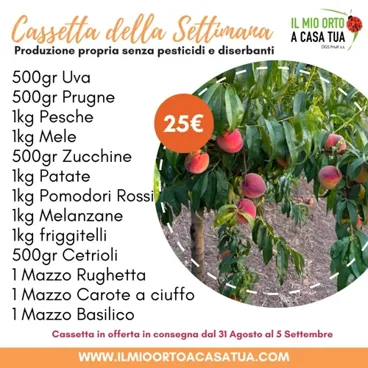 Cassetta Della Settimana