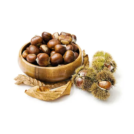 Castagne