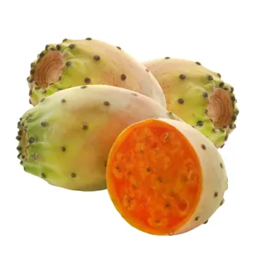 Fichi D'India