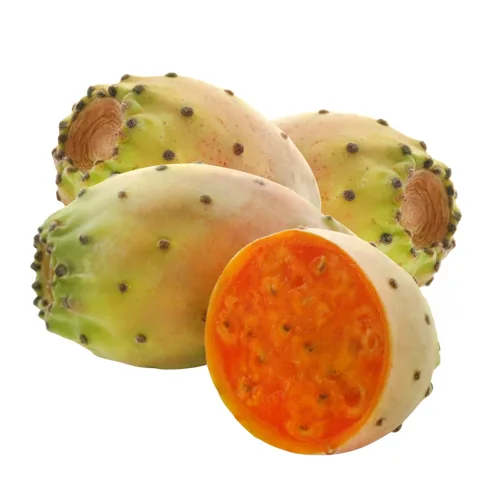 Fichi D'India