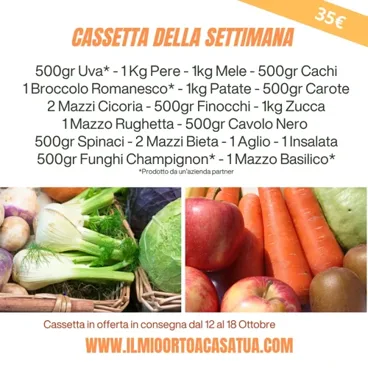 Cassetta Grande Della Settimana