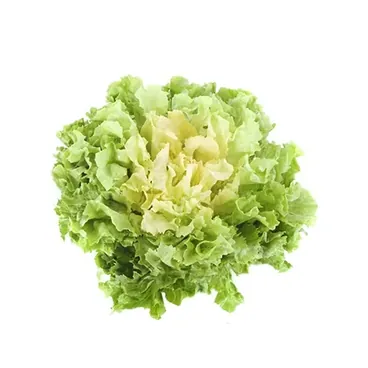 Insalata Scarola