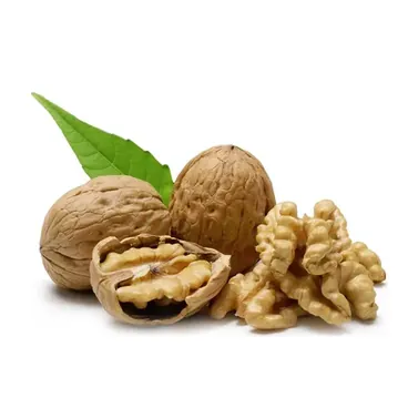Noci Secche