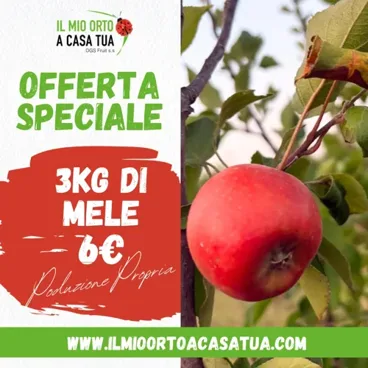 3kg Mele