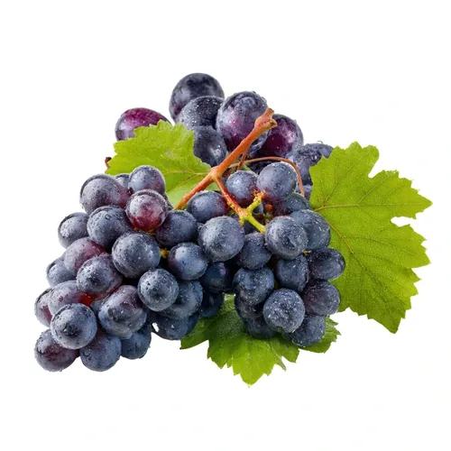 Uva Nera